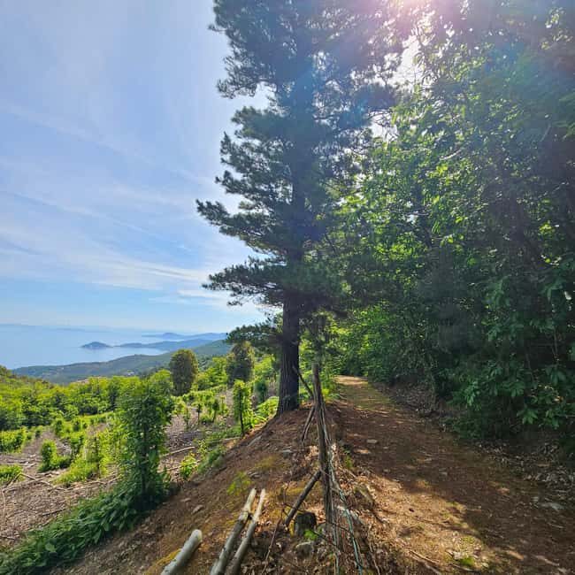 E bike Excursions and Lunch in Monte Capanne - E-bike Excursions and Lunch in Monte Capanne: A Deep Dive into Elba’s Wild Side