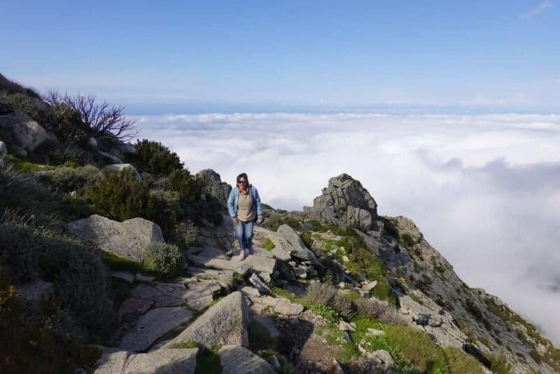 E bike Excursions and Lunch in Monte Capanne - Practical Details and What You Need to Know