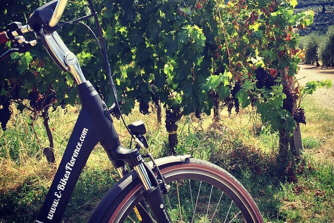 E-Bike Florence Tuscany Self-Guided Ride with Vineyard Visit - An In-Depth Look at the Florence Tuscany E-Bike Experience