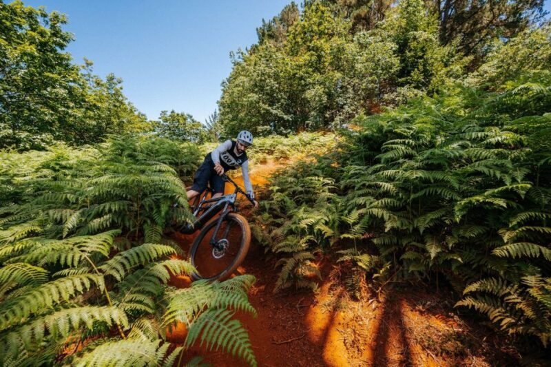 E-Bike Guided Tour - Belle Vue Mountain Biking - FAQs