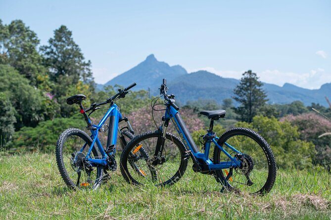 E-Bike Hire Northern Rivers Rail Trail, with Return Transport - A Closer Look at the Northern Rivers Rail Trail E-Bike Tour