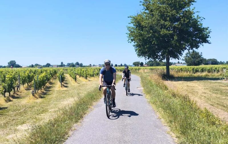 E-bike journey from Bordeaux to Saint-Emilion with lunch - Additional Tips