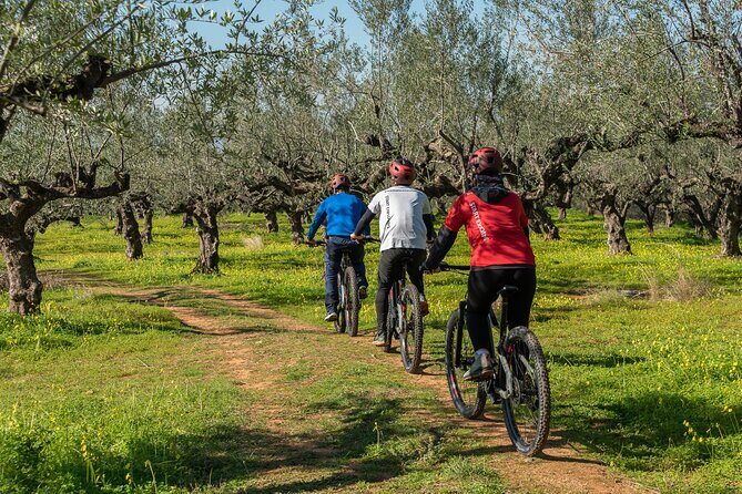 E-Bike Kalamata Olive Routes - Discover the Green Beauty of Kalamata with an E-Bike Olive Route