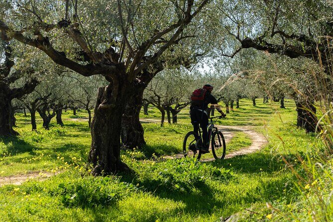 E-Bike Kalamata Olive Routes - Who Should Consider This Tour?
