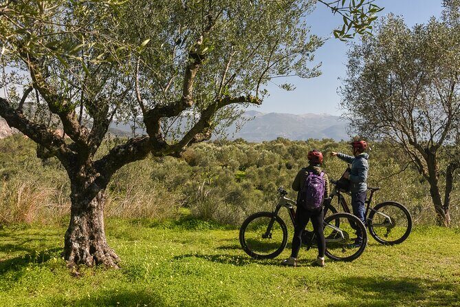 E-Bike Kalamata Olive Routes - Wrapping It Up: Who Will Love This?