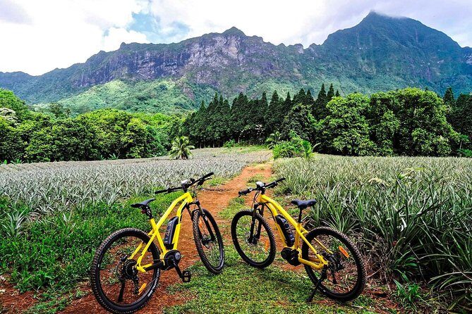 E-Bike Moorea Electric Bike Belvedere Tour (2 people minimum) - Authentic Moorea: Why This Tour Matters