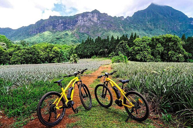E-Bike Moorea Electric Bike Rental Moorea - A Closer Look at the Moorea E-Bike Experience