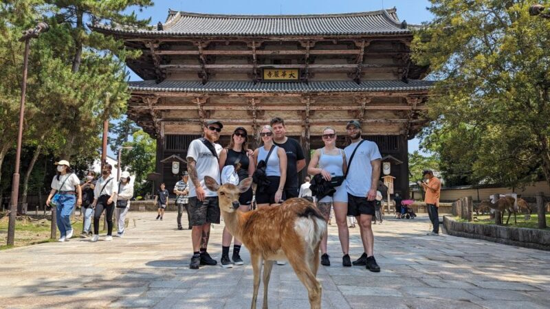 E-Bike Nara Highlights - Todaiji, Knives, Deer, Shrine - Who Should Consider This Tour?
