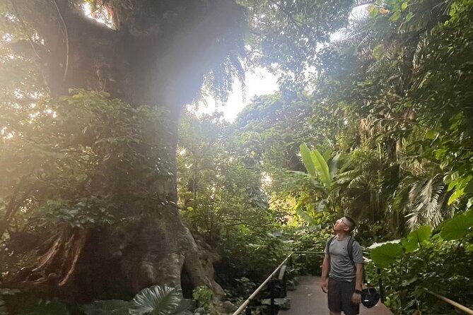 E-Bike Nature Tour in Shuri - E-Bike Nature Tour in Shuri: Discover Okinawa’s Hidden Gems on Two Wheels