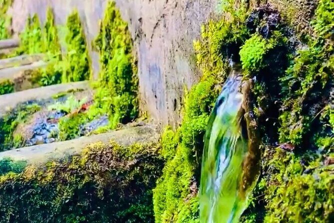 E-Bike Nature Tour in Shuri - Exploring Naha on Two Wheels: The Details