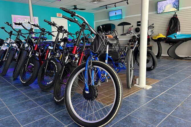 E-Bike Rental Adventure Siesta Key Florida - Key Points
