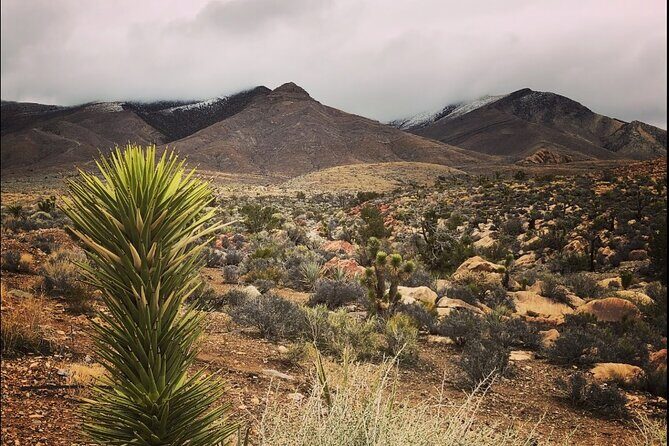 E Bike Rental in Las Vegas NV Ghost Town - Final Thoughts: Is This Experience Right for You?