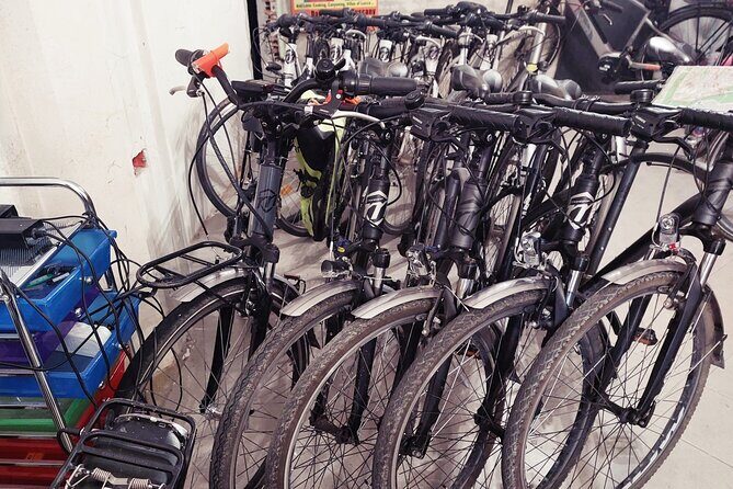 E-Bike Rental in Lucca - A Detailed Look at the Lucca E-Bike Tour