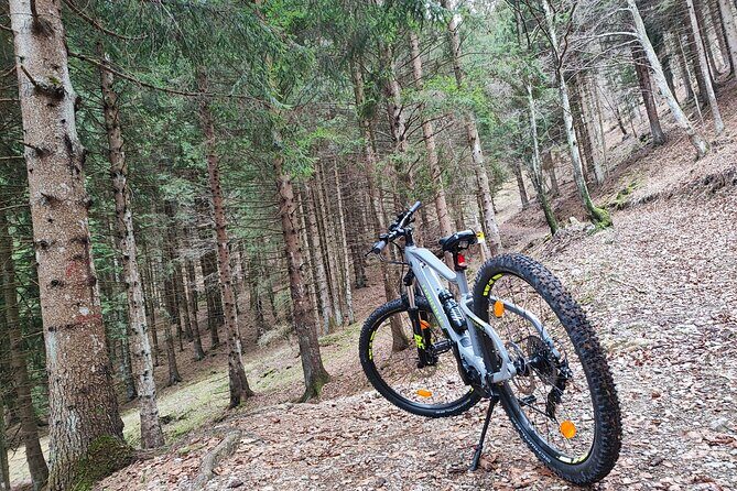 E-bike rental in Riva Del Garda - E-bike Rental in Riva del Garda: A Practical, Scenic Adventure