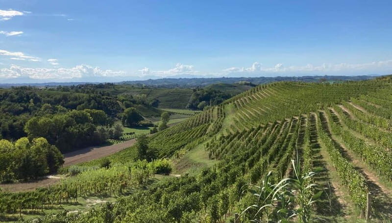 E-Bike Rental in Roero - Exploring Roero on Two Wheels with Lindhouse