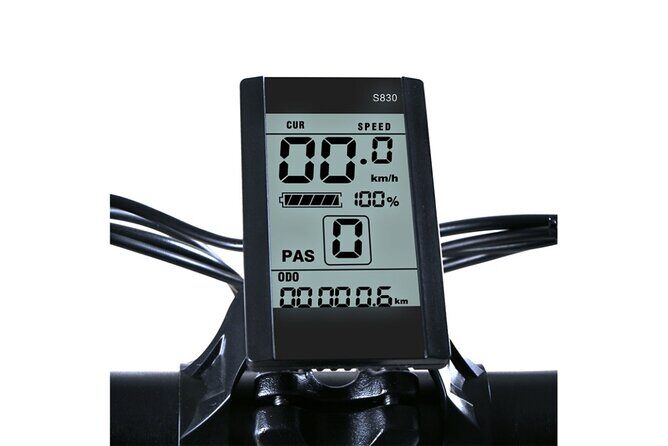 E-Bike Rentals in NYC - Key Points