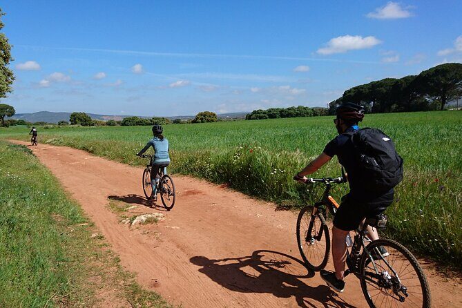 e-Bike (Self-Guided) & Winery tour - 20km Easy - A Thorough Look at the E-Bike & Winery Experience