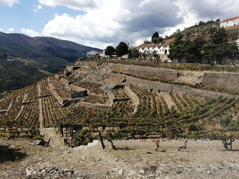 e-Bike Through Douro Valley Wine Region for Half Day Tour - A Detailed Look at the e-Bike Tour in Douro Valley