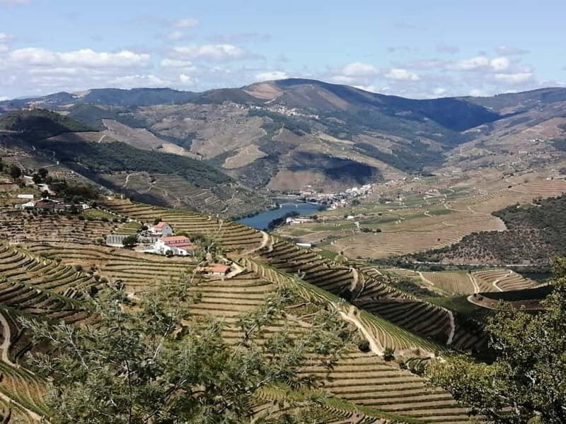 e-Bike Through Douro Valley Wine Region for Half Day Tour - Why This Tour Offers Great Value