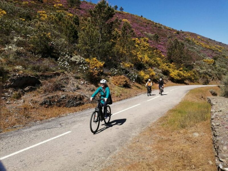 e-Bike Through Douro Valley Wine Region for Half Day Tour - Final Thoughts