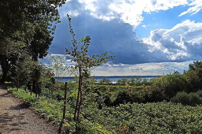 E-Bike Tour and Wine Tasting from Bardolino - Exploring the Lake Garda Countryside by E-Bike