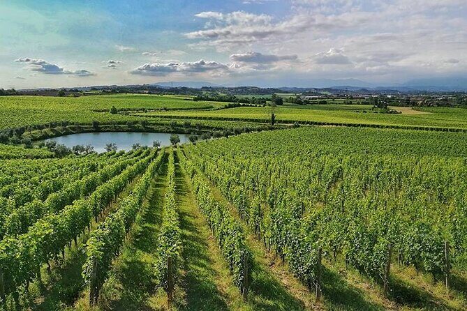 E-Bike tour and Wine tasting from Desenzano Inland - Authenticity and the Value