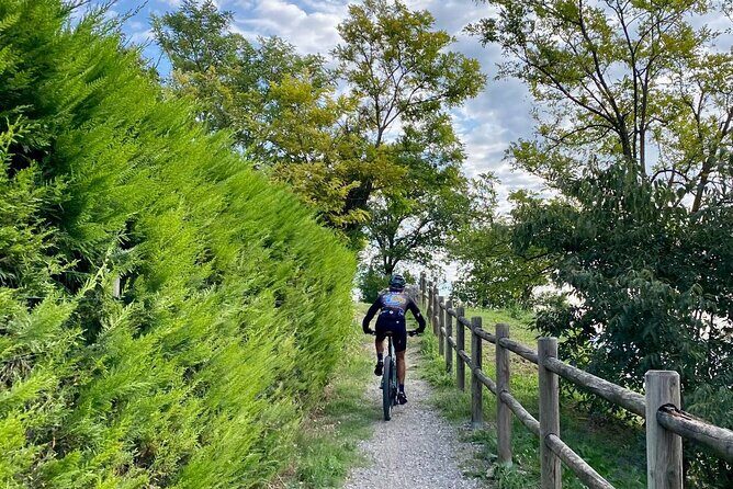 E-Bike tour and Wine tasting from Desenzano Inland - The Sum Up