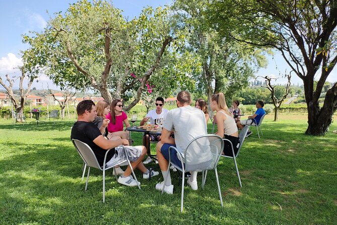 E-Bike Tour and wine tasting in Lazise Countryside - What You Can Expect from Each Part of the Tour