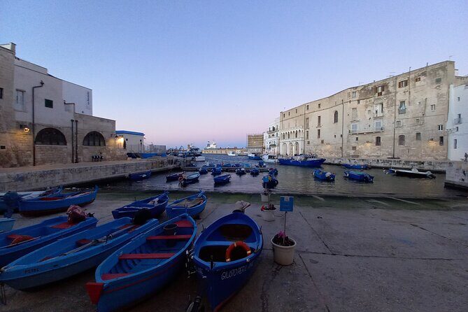 e-Bike tour from Monopoli to the rocky village of S. Andrea - FAQ