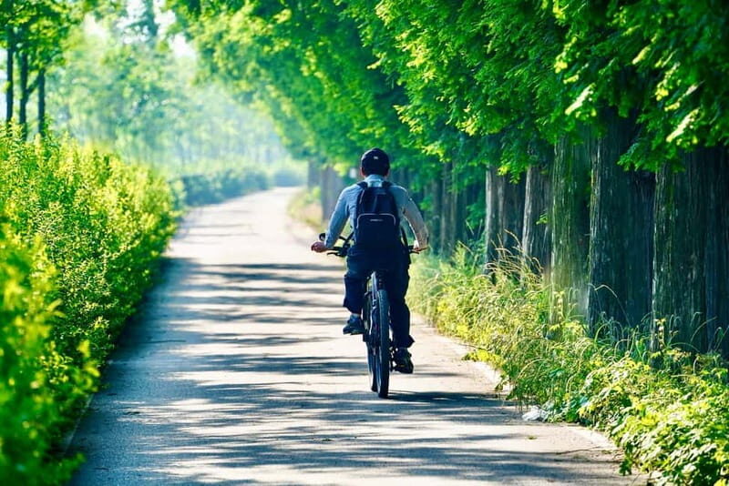 E-Bike Tour from Ventimiglia: Dolceacqua & Rocchetta Rivers - Key Points