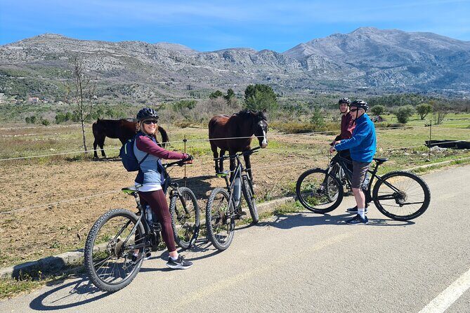 E-Bike Tour + Gourmet Lunch + Wine Tasting (Small Group) - What the Tour Entails: A Detailed Look