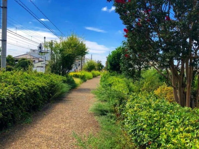 e-bike tour Heading for the Sea from Shikama Kaido - Who Will Love This Tour?