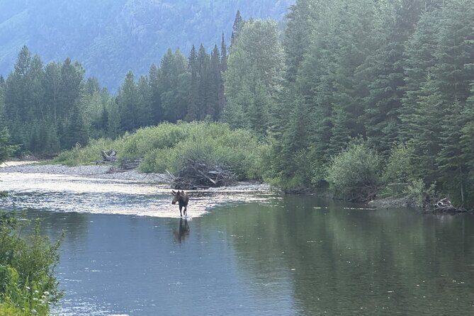 E Bike Tour in Glacier National Park Cammas Road - Key Points