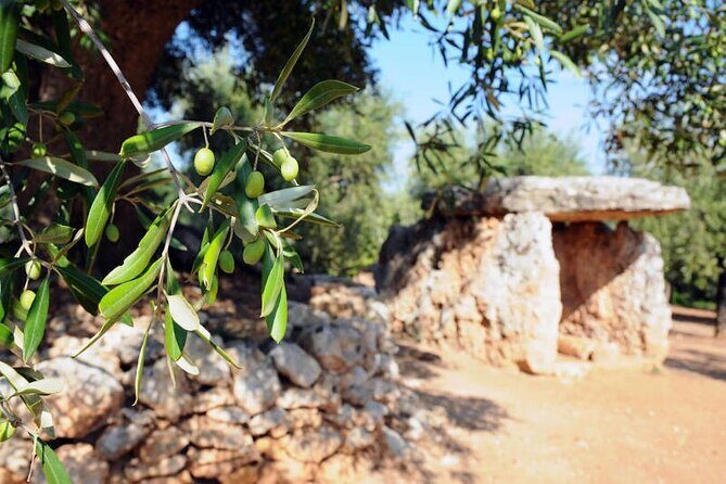 E-bike tour in Ostuni. Oil mill, Dolmen and huge olive trees - The Sum Up: Is This Tour Right for You?