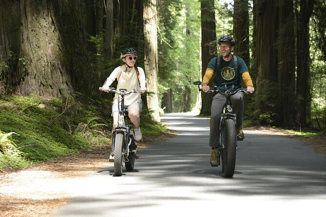 E-Bike Tour in the Avenue of the Giants Redwood Forests - 4 Hours - Experience the Majesty of Redwood Forests on a 4-Hour E-Bike Tour