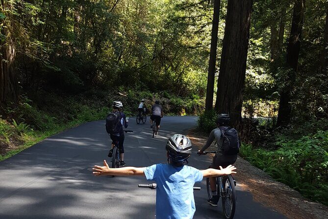 E-Bike Tour in the Avenue of the Giants Redwood Forests - 4 Hours - A Closer Look at the Redwood E-Bike Experience