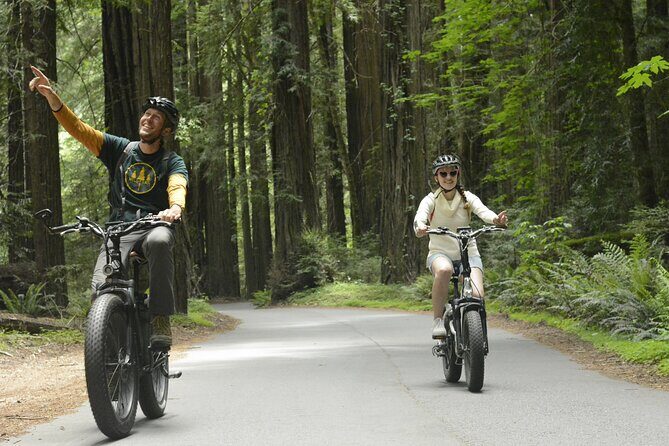E-Bike Tour in the Avenue of the Giants Redwood Forests - 4 Hours - FAQ