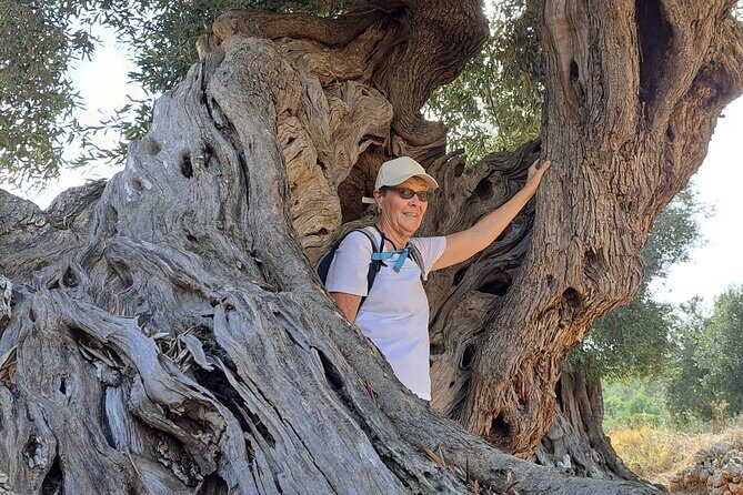 e-bike tour in the plain of the secular olive trees of Ostuni - Exploring the Olives and Ostuni on an E-Bike