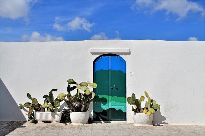 e-bike tour in the plain of the secular olive trees of Ostuni - Key Points
