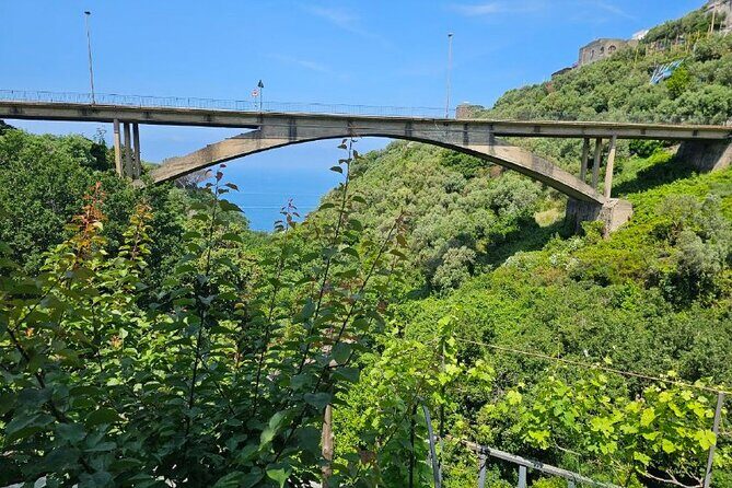 E-Bike Tour in the Sorrento Peninsula and Visit to Acetaia - Who Should Consider This Tour?
