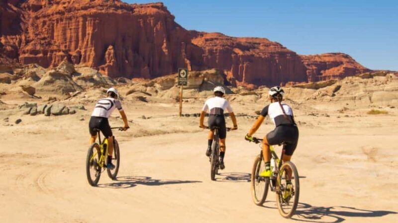 E-Bike Tour in the Valley of the Moon - Discovering the Valley of the Moon on Electric Bikes