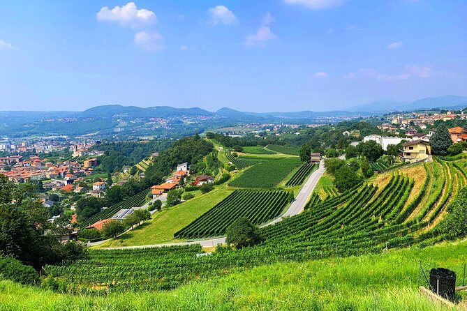 E-Bike Tour Lake Como and Swiss Vineyards - Key Points