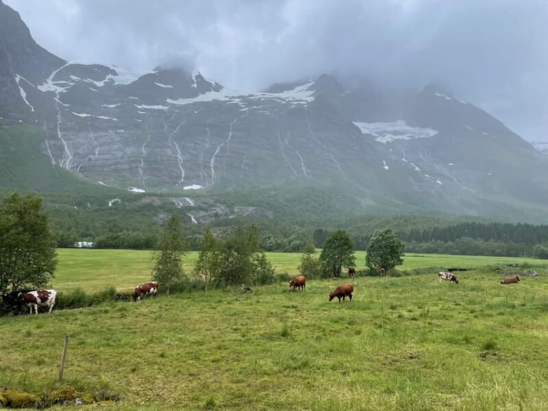 E-bike tour of Hellesylt to Norangsdalen - FAQ
