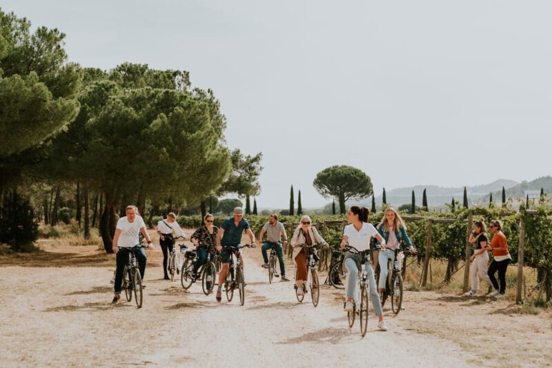 E-bike tour & Picnic in an Exclusive winery Estate - An Authentic Ride Through Spain’s Vineyards: E-bike Tour & Picnic at Finca Villacreces