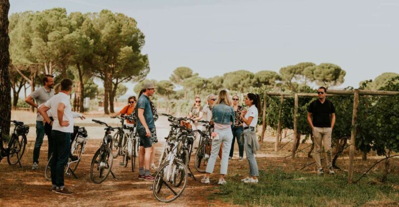 E-bike tour & Picnic in an Exclusive winery Estate - Final Thoughts: Combining Scenic Beauty with Gourmet Simplicity
