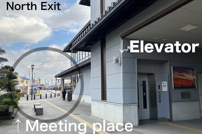 E-Bike Tour through Ikarugas Temples and Countryside - Who Should Consider This Tour?