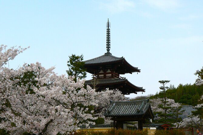 E-Bike Tour through Ikarugas Temples and Countryside - FAQs