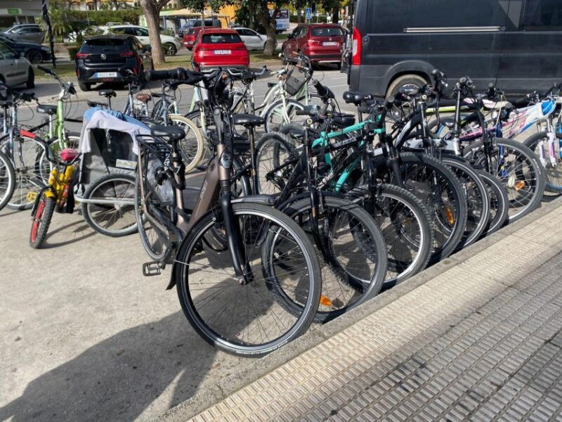 E-Bike Tour through Marbella/ Puerto Banús and San Pedro - Experience the Best of Marbella, Puerto Banús, and San Pedro de Alcantara on an E-Bike Tour