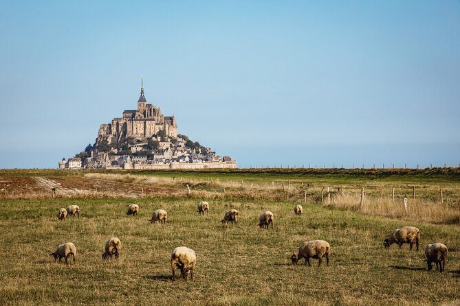 E-Bike Tour to Mont Saint Michel // Private guided tour - What Makes This Tour Stand Out?
