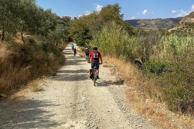 E-Bike Tour with Wine Tasting in Dafnes, Heraklion - Who Would Enjoy This Tour?